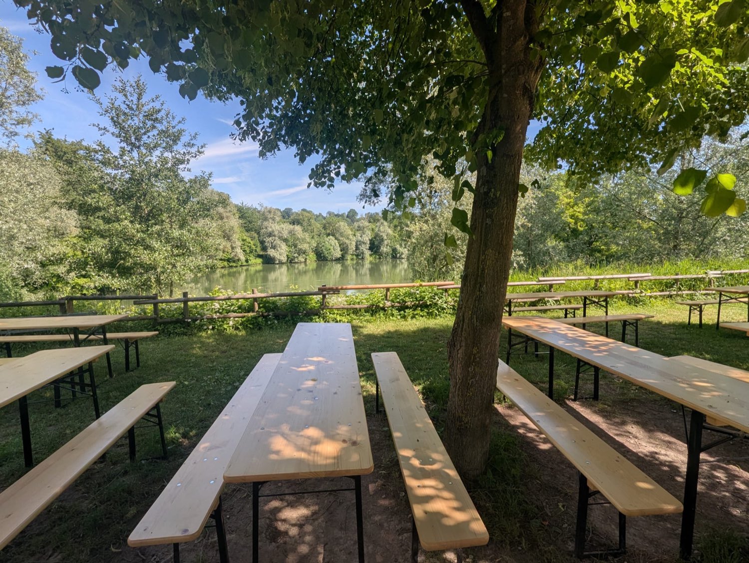 Lange Reihen Bierbänke unter Bäumen mit Blick auf den See