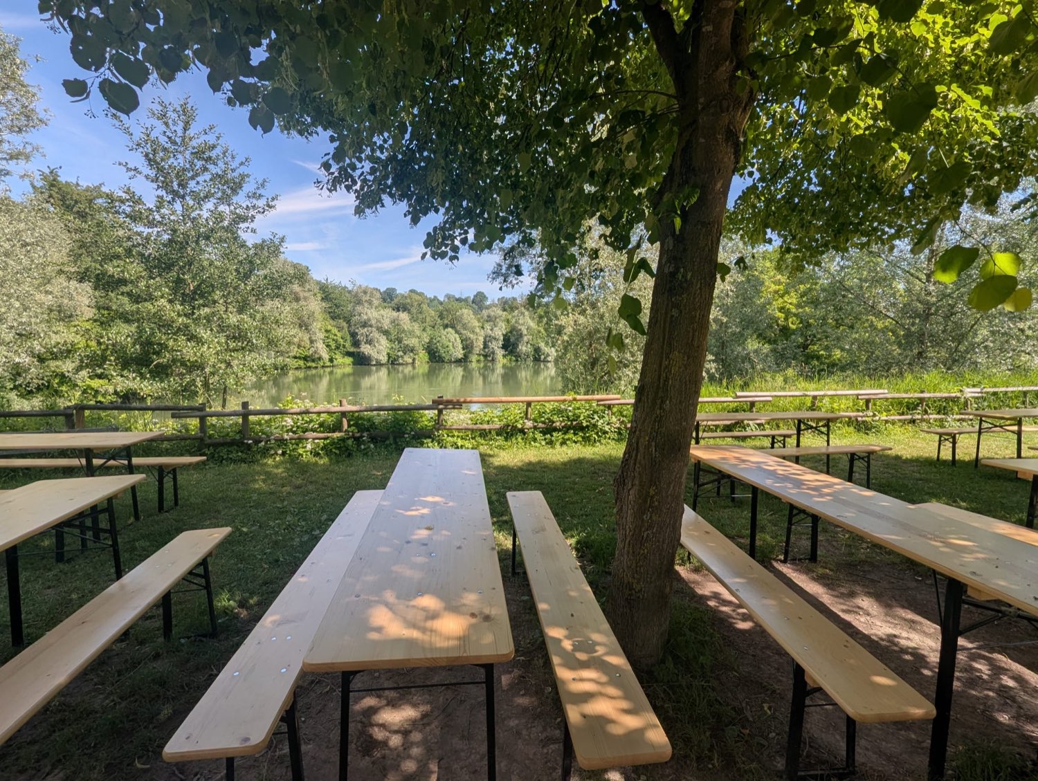 Bierbänke unter einem großen Baum mit Seeblick