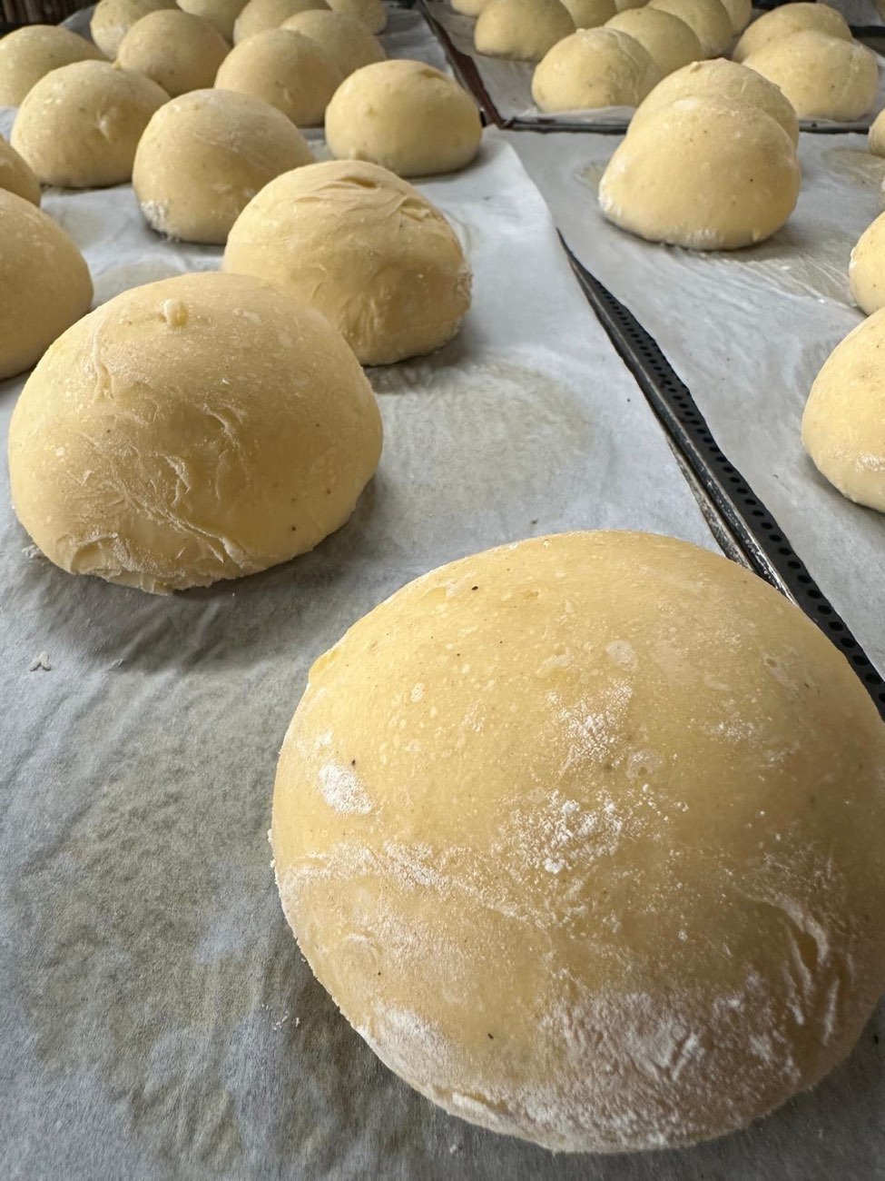 Frischer Burger-Teig in der Backstube