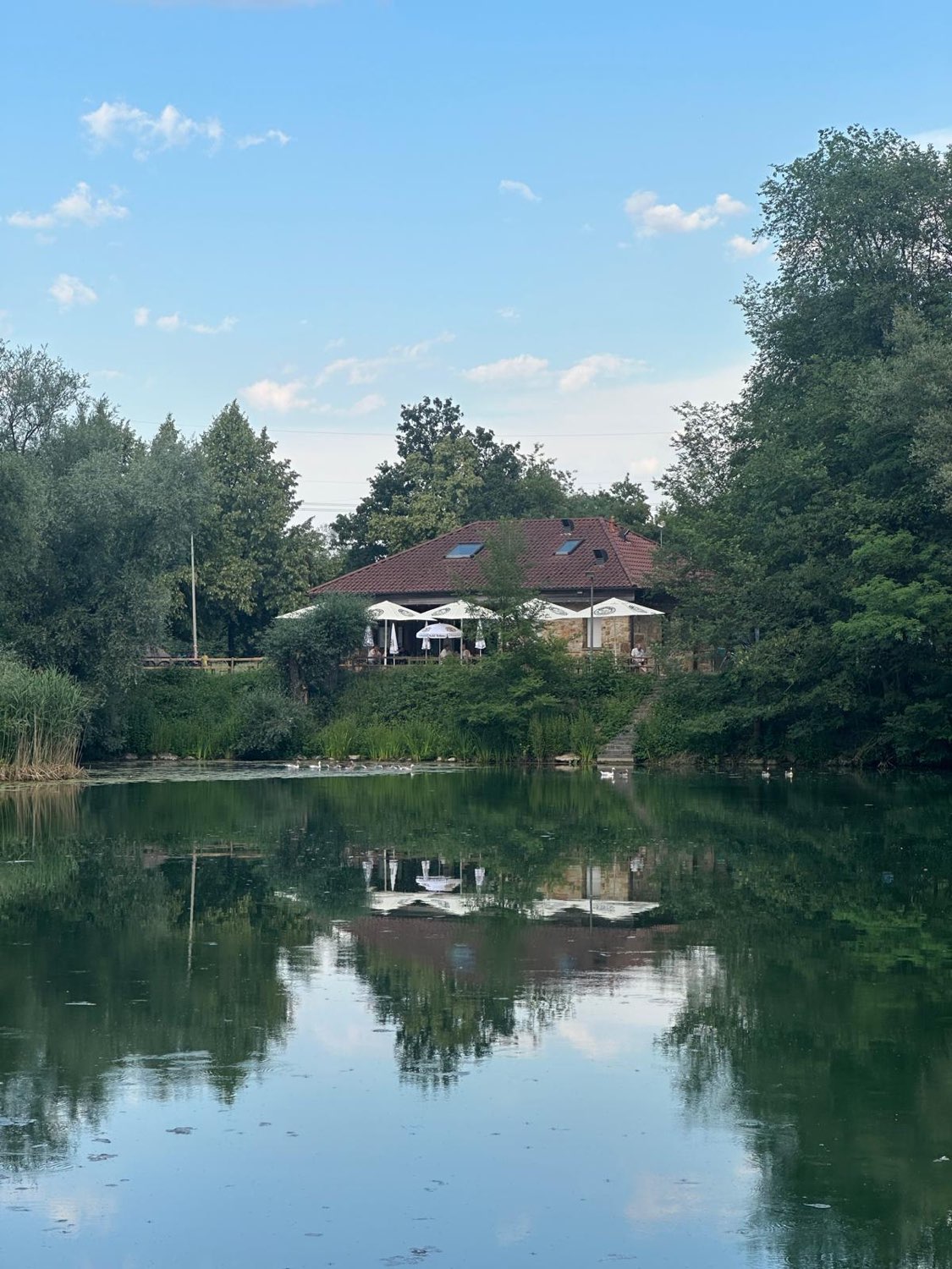 Die Fischerhütte am See, gespiegelt im ruhigen Wasser des Neckars